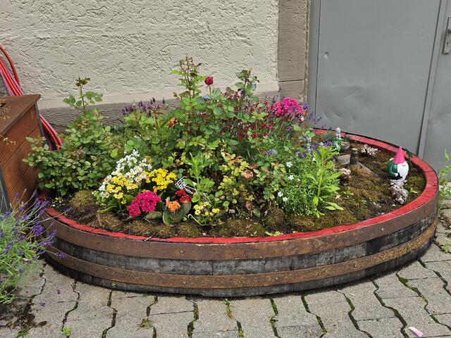 Ein Teil eines Weinfasses schön bepflanzt. | Foto: Heidrun Rosenberger