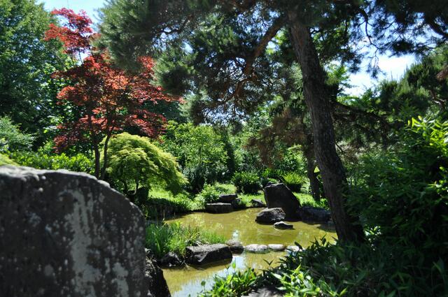 Japangarten. | Foto: Daniela Somers