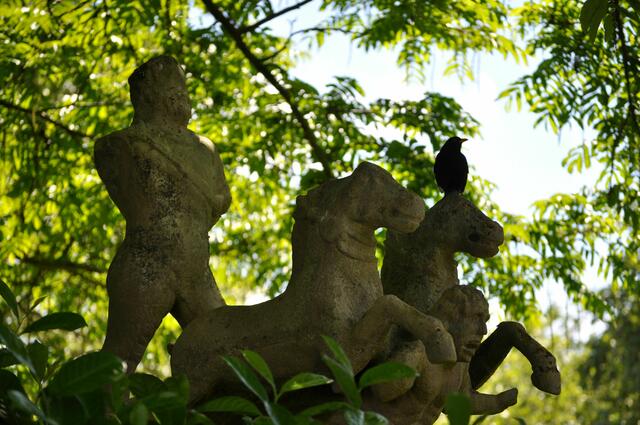 Steinskulptur. Leider konnte ich keinen Namen oder Künstler dazu finden. Aber die Amsel hat hier einen schönen Ausblick. | Foto: Daniela Somers