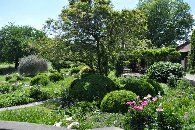 Bürgerpark mit Staudengarten und Pergola | Foto: Daniela Somers