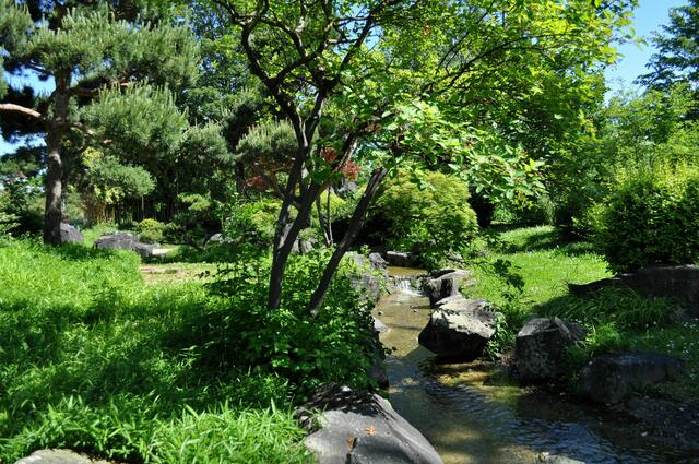 Japangarten. | Foto: Daniela Somers