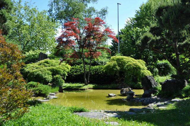 Japangarten. | Foto: Daniela Somers