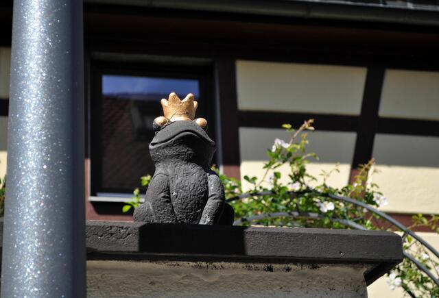 Auch ein Frosch muss mal dabei sein. | Foto: Daniela Somers