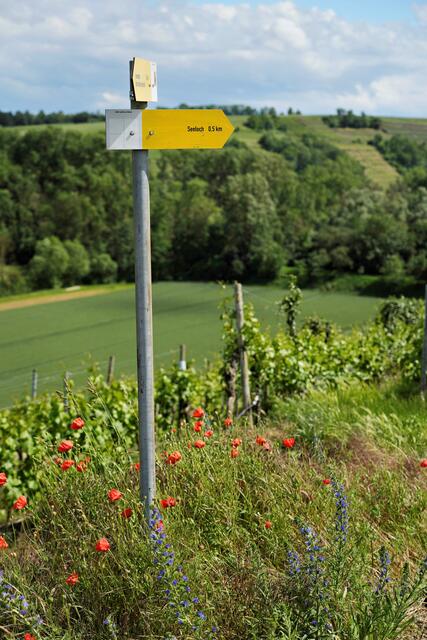 Foto: Ulrich Seidel