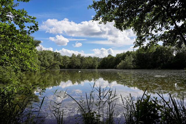 Foto: Ulrich Seidel