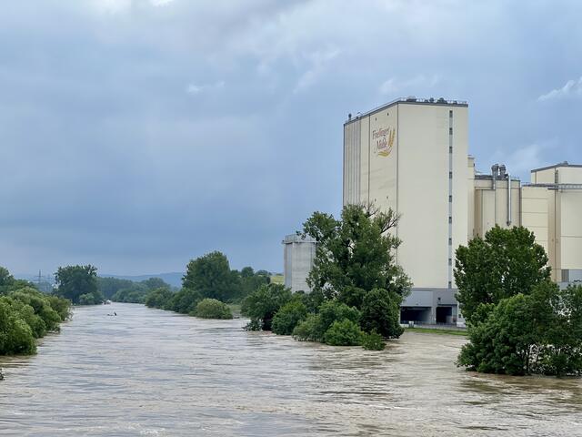 ...hoffentlich läuft das Wasser nicht in die Mühle... | Foto: Moni Bordt