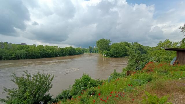 Der Neckar  | Foto: Eigene Bilder TB