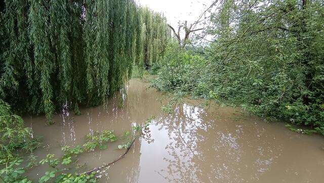 Die Zaber ist normalerweise hier nur 1,5m breit | Foto: Eigene Bilder TB