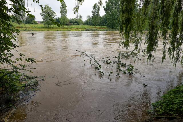 Der Neckar an der Schozachmündung am Fischerheim in Sontheim | Foto: WKY