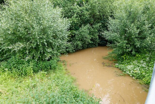 der Deinenbach mündet in die Schozach, beide können kaum noch abfließen in den Neckar | Foto: WKY