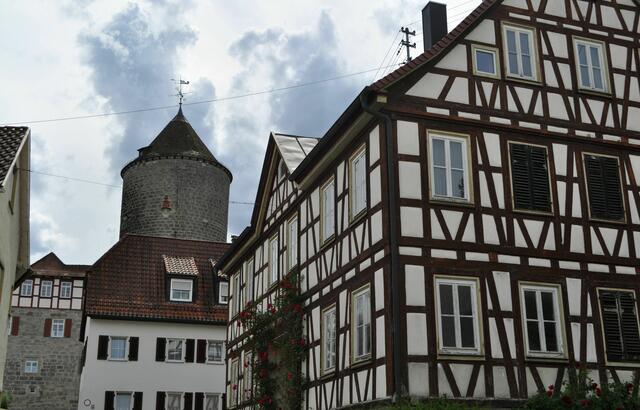 Nun gehts zurück zur Burg und zur Burgführung | Foto: Daniela Somers