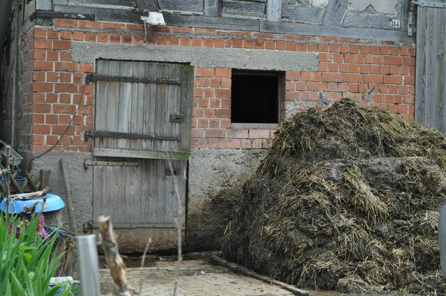 So stellt man sich das Landleben vor. | Foto: Daniela Somers