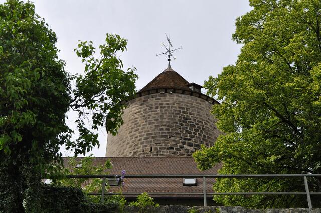 Der Bergfried vom Burggarten aus gesehen. | Foto: Daniela Somers