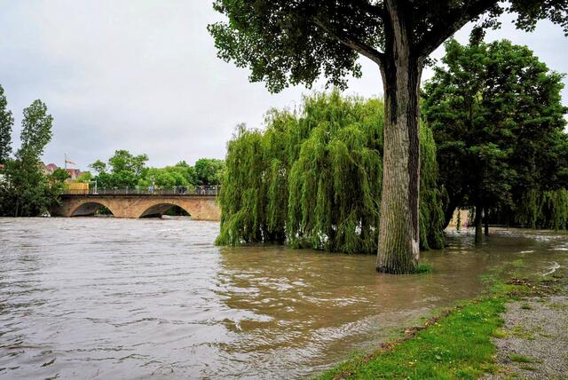 Blick auf die alte Neckarbrücke 01.06.24 | Foto: Ulrich Seidel