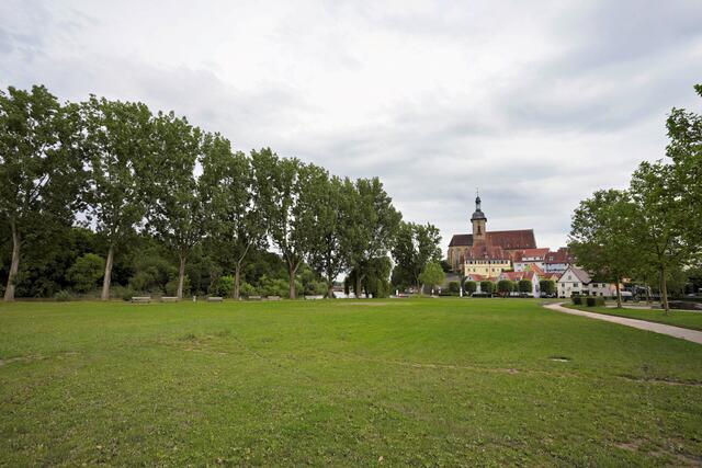 05.06.24 | Foto: Ulrich Seidel