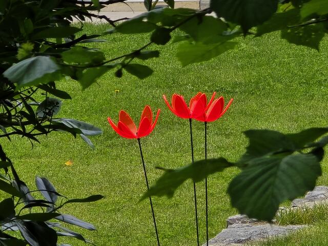 Foto: Heidrun Rosenberger