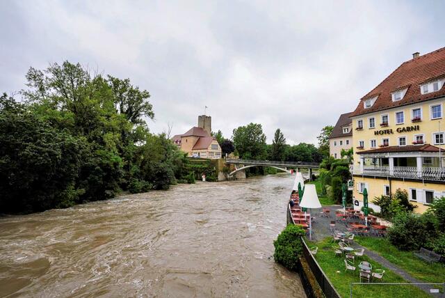 Neckarkanal 02.06.24 | Foto: Ulrich Seidel