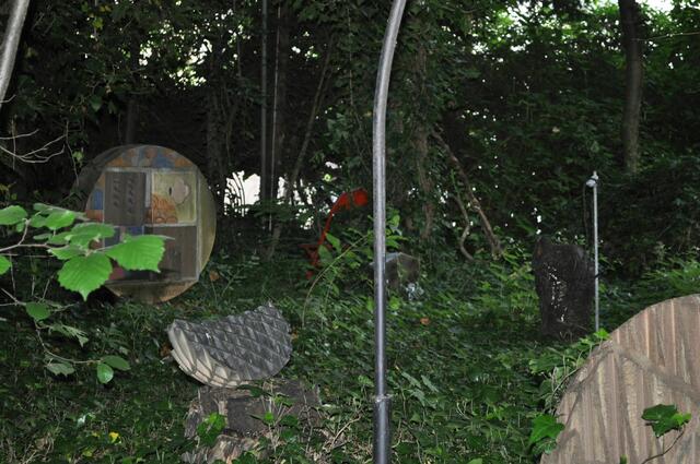 Blick in den wildromantischen Garten | Foto: Daniela Somers