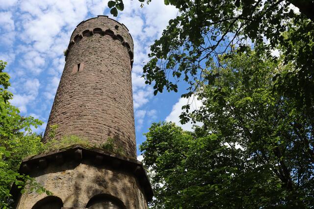 Aussichtsturm Katzenbuckel | Foto: Marga Specht