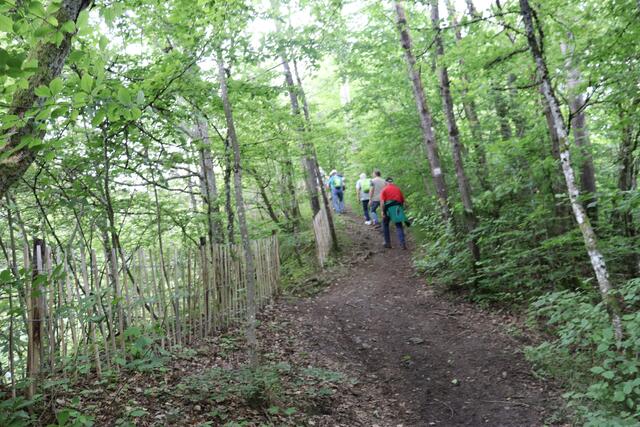 Foto: Marga Specht