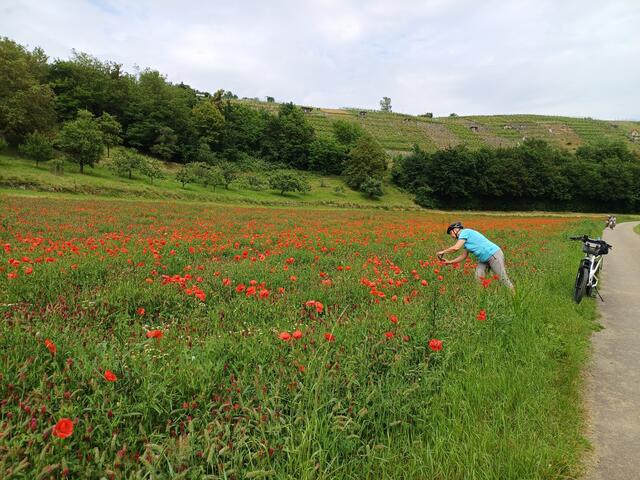 da muss man einfach stehen bleiben | Foto: E. Rosendorf