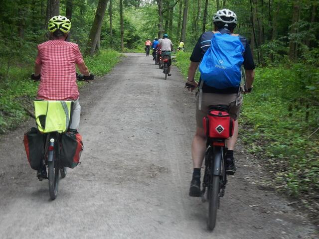 der Weg durch den Wald | Foto: E. Rosendorf