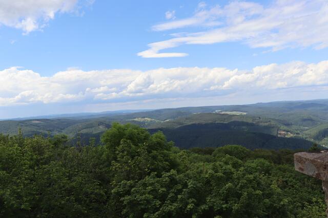 Aussicht vom Turm | Foto: Marga Specht