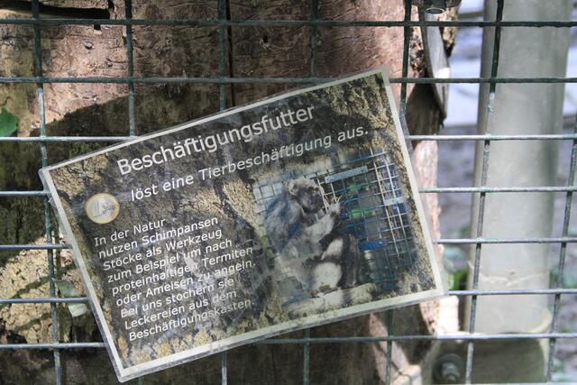 Leintalzoo in Schwaigern | Foto: Ralf Röser