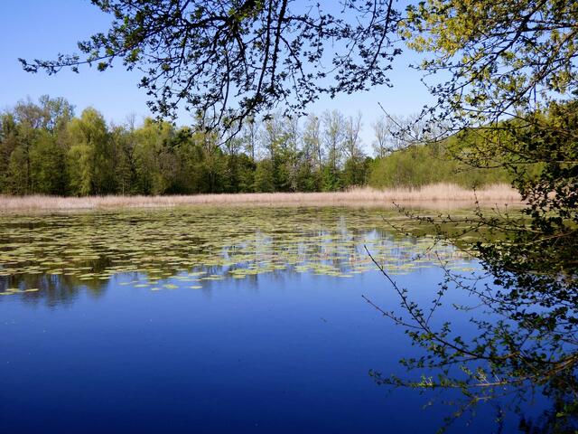 Bleichsee Löwenstein | Foto: sigischlottke