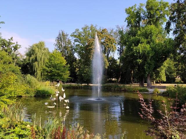 See im Hofgarten Öhringen | Foto: sigischlottke