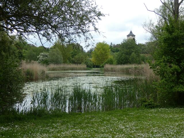 See im Ziegeleipark Heilbronn | Foto: sigischlottke