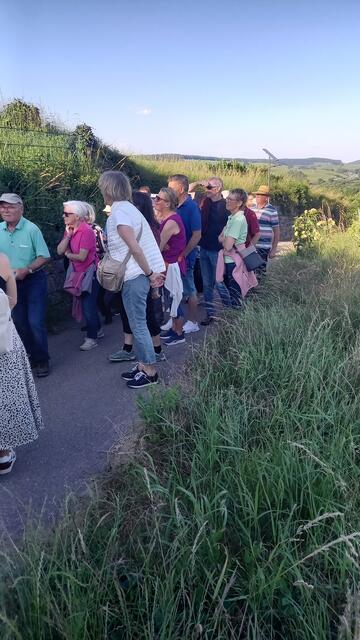 Es gibt viel zu bestaunen | Foto: Ursula Hamann