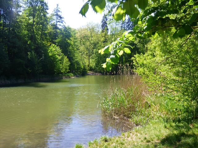 Köpfer-Stausee Heilbronn | Foto: sigischlottke