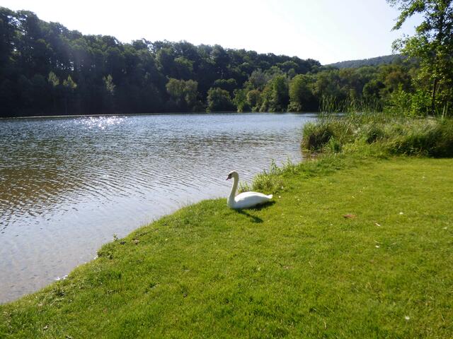 Katzenbachsee zwischen Pfaffenhofen und Zaberfeld | Foto: sigischlottke