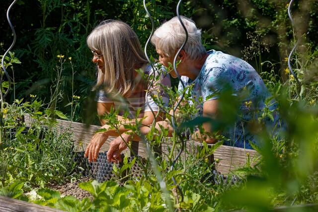 Fachgesimpel | Foto: WKY