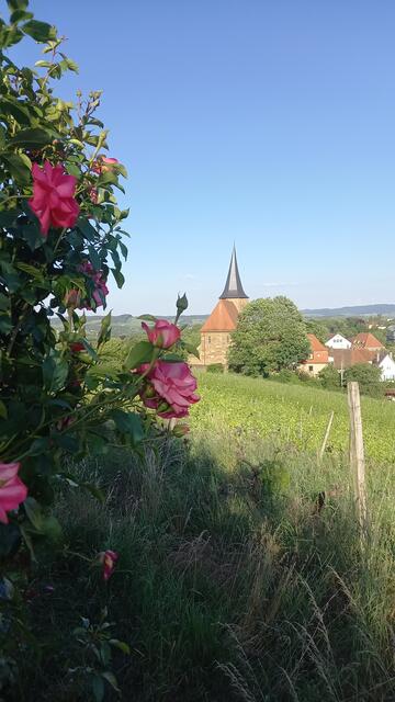 Impressionen: Johanneskirche | Foto: Ursula Hamann