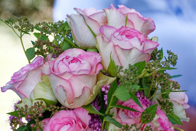 Danke an Helmut für den Hintergrund ;-) | Foto: WKY