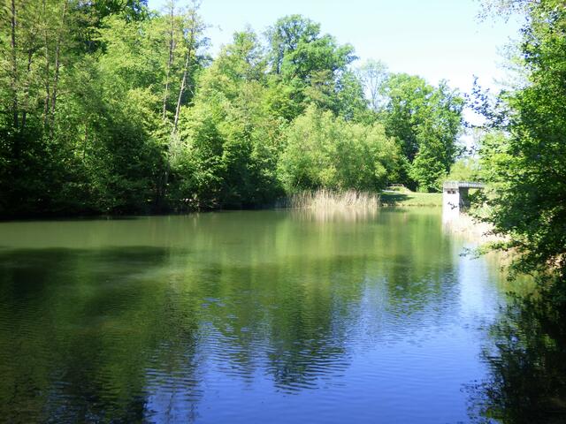Köpfer-Stausee Heilbronn | Foto: sigischlottke