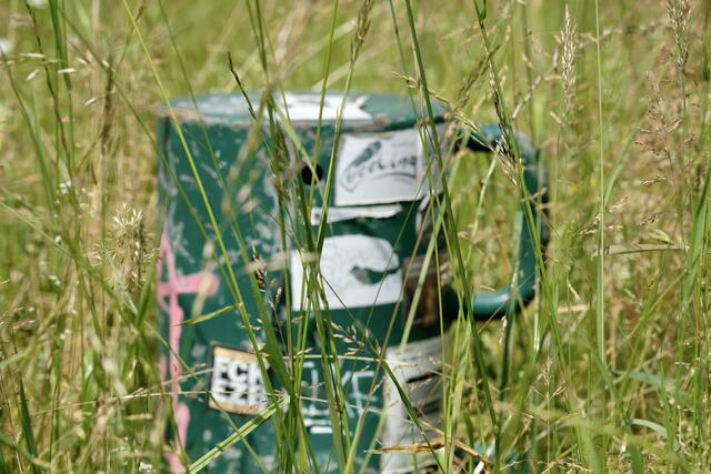 In der Wiese | Foto: ED