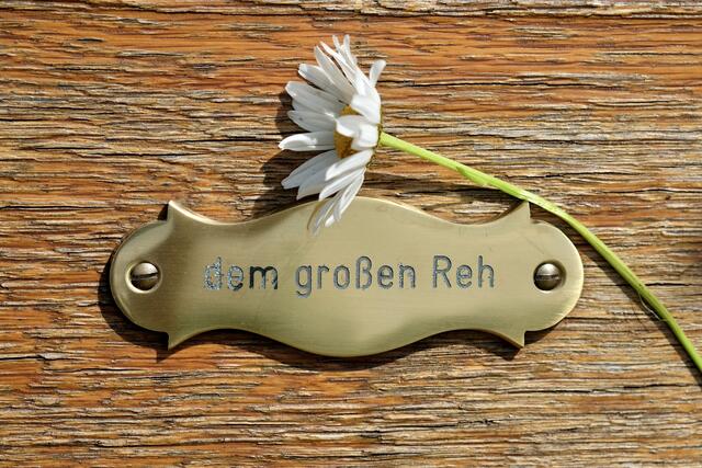 Die Bank der Erinnerungen | Foto: ED