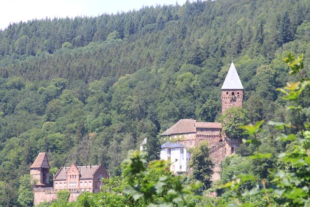 hoch zur Burg Zwingenberg | Foto: Ralf Röser