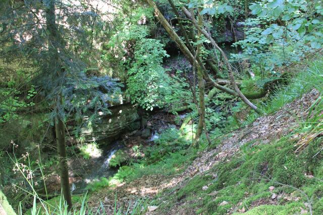 los geht's | Foto: Ralf Röser