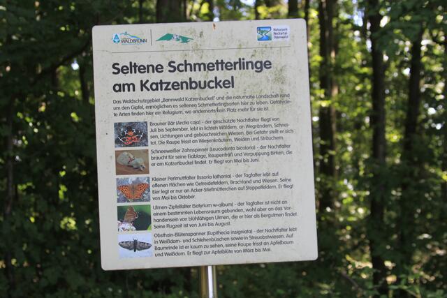 Info | Foto: Ralf Röser