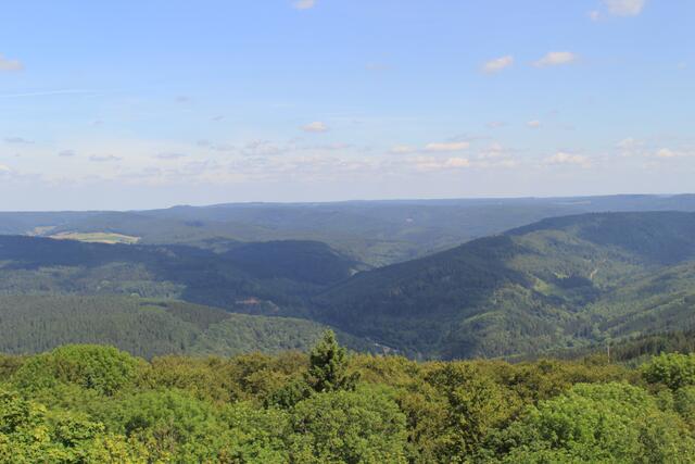 Odenwald | Foto: Ralf Röser