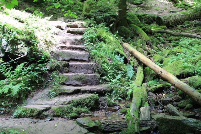 und rauf | Foto: Ralf Röser