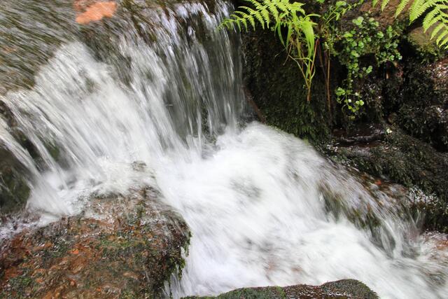 wow | Foto: Ralf Röser