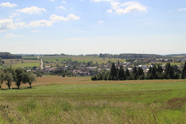 Odenwald | Foto: Ralf Röser