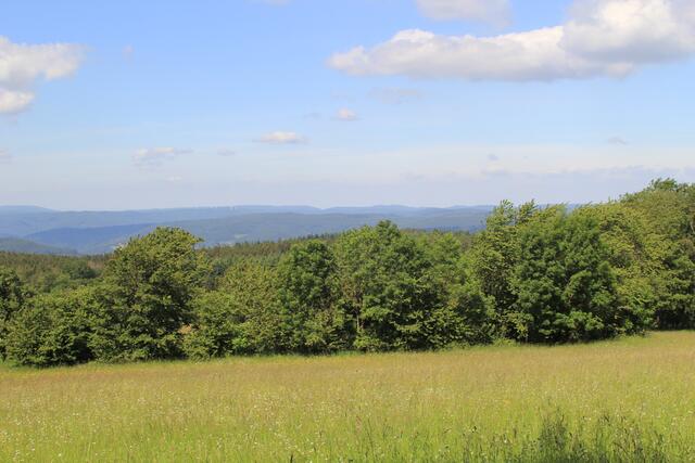 Odenwald | Foto: Ralf Röser