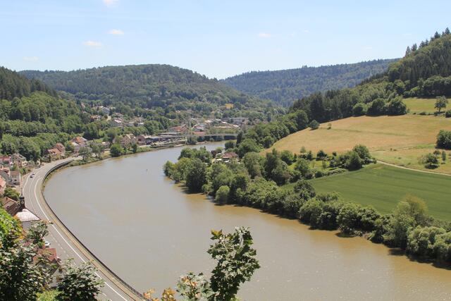 Neckar | Foto: Ralf Röser