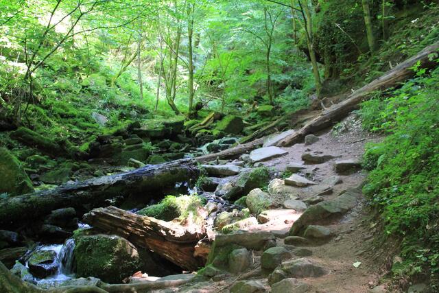 über stock und stein | Foto: Ralf Röser